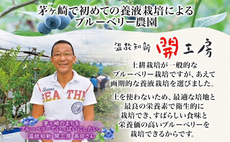 ブルーベリー農園 摘み取り券 収穫 太陽 養液栽培 美味 育つ ジャム バター 地場産  新鮮 卵 スプレッド 濃厚 風味 温故知新 開工房 農園 果実 摘み取り 完熟 農園 あっさり 食パン 採れたて朝食 送料無料 神奈川県 茅ヶ崎市