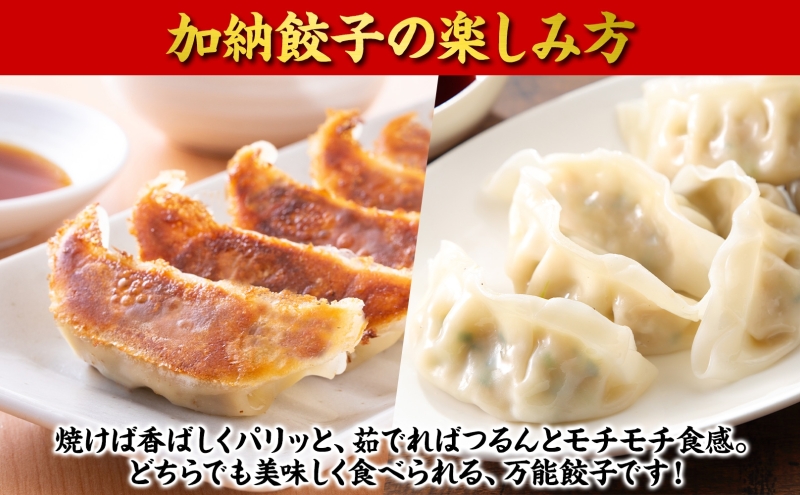 【加納の王道】餃子 冷凍生餃子 50個 生餃子 冷凍餃子 ギョーザ おかず 総菜 おつまみ つまみ ごはんのお供 中華 家庭用 お取り寄せ まとめ買い 大容量 冷凍食品 焼き餃子 冷凍 神奈川 神奈川県 茅ヶ崎市