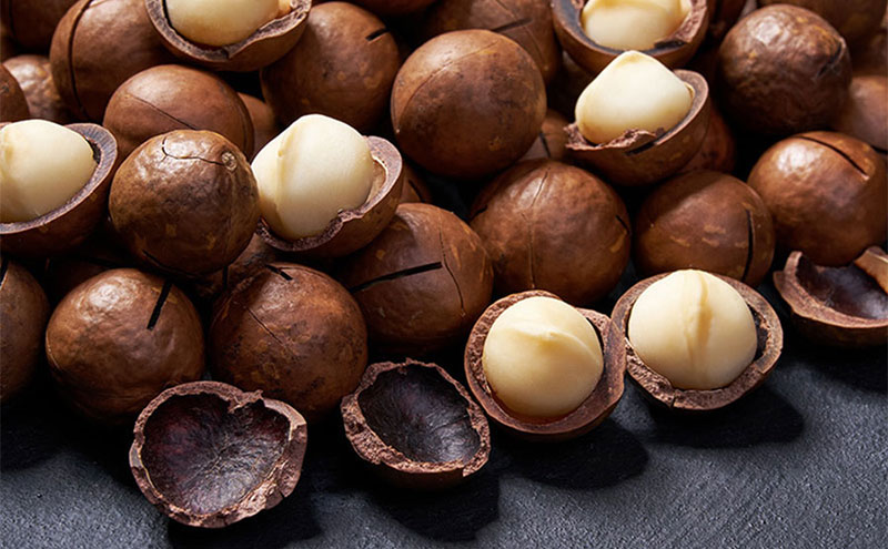 MAISON CACAO メゾンカカオ アロマ生チョコレート 2種セット（16粒×2箱）70％カカオ 海塩 マカダミア ギフトボックス入 冷凍配送 神奈川県茅ヶ崎市