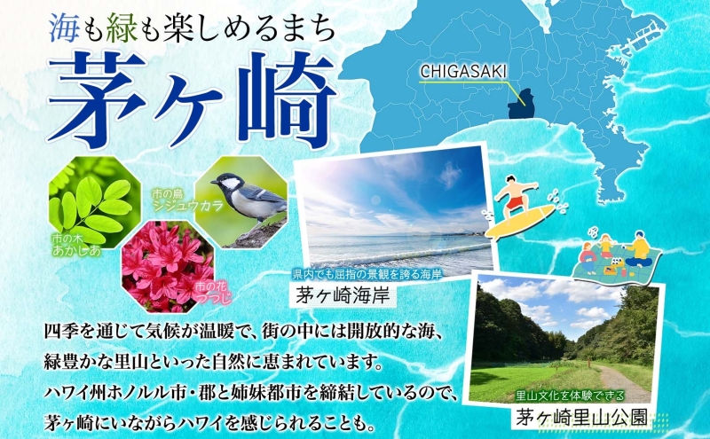 湘南の雫 ティーバッグタイプ 1.7g×30P ブレンドティー ハーブティー ALL神奈川県産 湘南 湘南ゴールド 柑橘 果皮 ピール 清川茶 プレゼント 贈り物 sincerely herb あこ茶 神奈川県 茅ヶ崎市