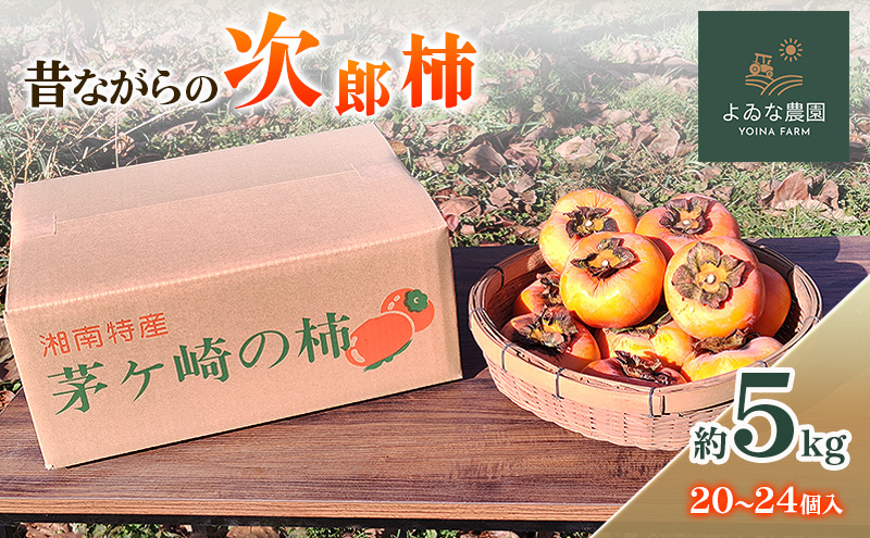 茅ヶ崎市 昔ながらの次郎柿 約5kg (20～24個入り) よゐな農園 柿 かき カキ 次郎柿 果物 くだもの フルーツ 神奈川県 茅ヶ崎市