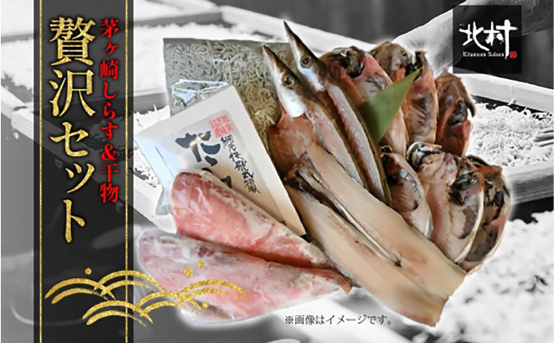 茅ヶ崎 しらす 干物 贅沢 セット しらす 600g たたみしらす 7枚入 1箱 かます 2枚 あじ 3枚 銀サケ 4枚 太刀魚 1枚 赤魚 粕漬 2枚 網元 新鮮 船 海 海鮮 漁 冷凍 北村水産 焼く ご飯 酒 つまみ 神奈川県 茅ケ崎市