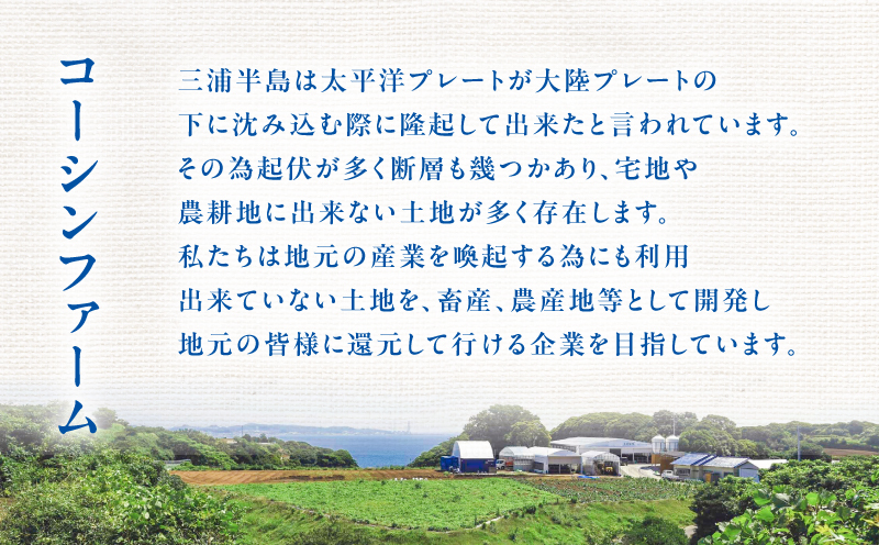 みうらみるく飲みきりサイズ200ml×5本　M091-001-02