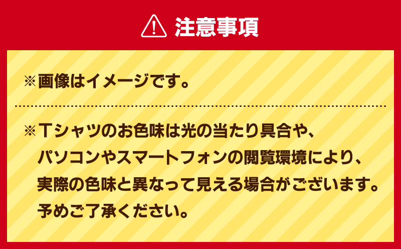 【セット】三浦国際市民マラソン大会記念グッズオリジナルTシャツ（各XLサイズ・三色セット）　M037-016-04