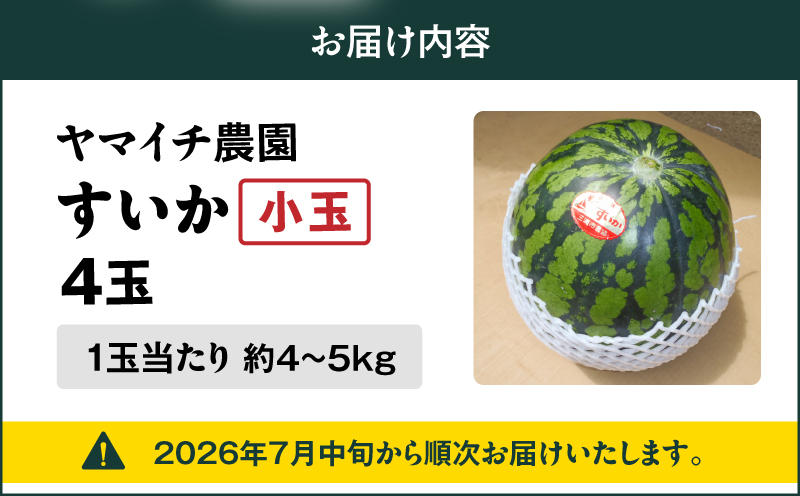 ãäžæµŠèŸ²å®¶çŽéãå°çã¹ã€ã«ïŒ4åå
¥ãïŒãM003-001