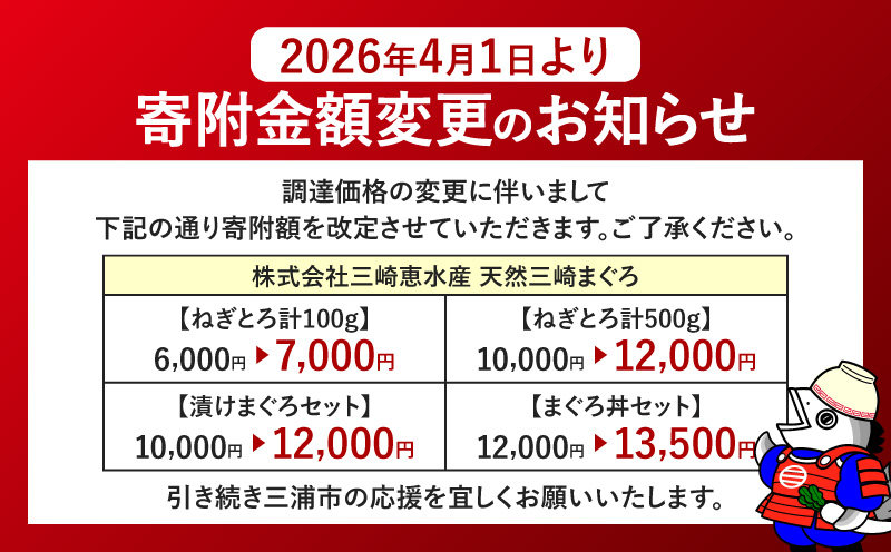 【7営業日以内に発送 または 配送月が選べる】三崎まぐろ 目鉢まぐろのみ使用ねぎとろ すきみ 500g（100g×5P）　M020-019