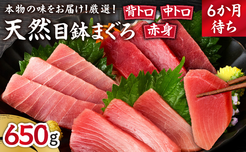 本物の味をお届け！厳選！天然三崎まぐろ【希少部位】背トロ＆中トロ・赤身　M005-039