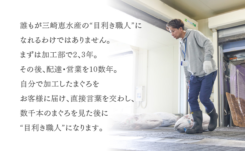 入金確認後、7営業日以内に発送予定 または 配送月が選べる】天然 三崎まぐろ 赤身 ベタミ M020-040