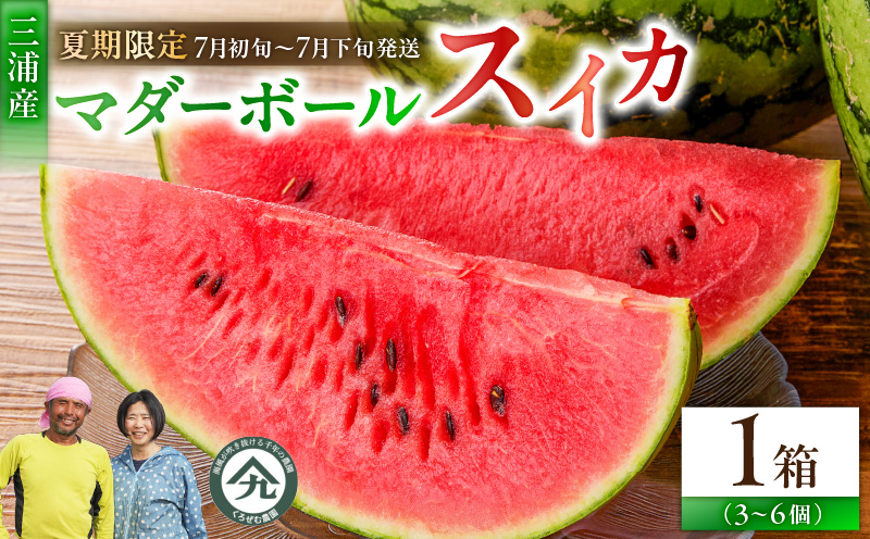 マダーボールスイカ　M001-002