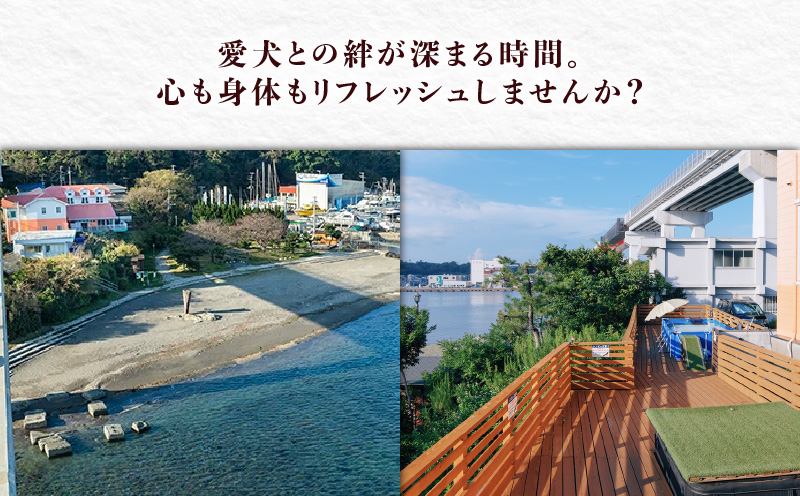 ペットと泊まるリゾートホテル Doki Doggie 城ヶ島遊ヶ崎BASE 大人1名1泊2食付き　M131-001-01