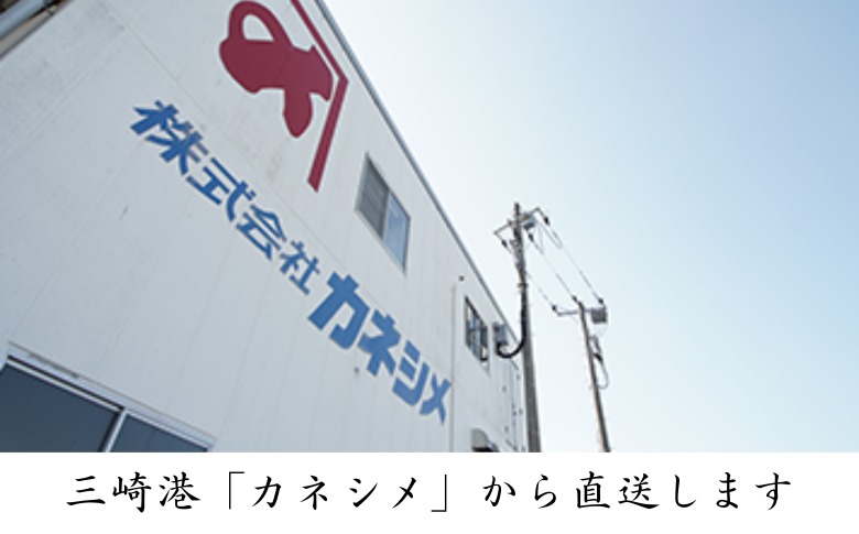 三崎マグロ 卸問屋カネシメの本鮪 中トロ・赤身切れてるお刺身セット＋目鉢鮪 ネギトロ　M070-007