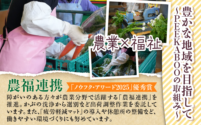 三浦の匠野菜　M127-001