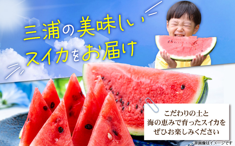 有機肥料で育てた大玉スイカ【赤い彗星】（2個入り）　M002-004