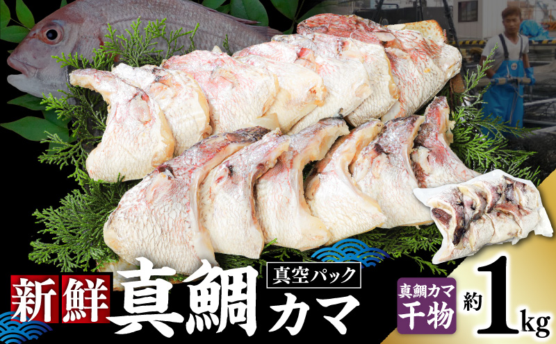新鮮真鯛カマ干物 （約1kg）　M079-011-03