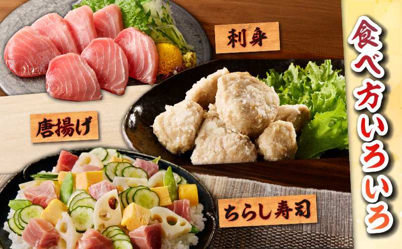 特選 目鉢鮪頭肉 超希少部位「脂ハチの身」　M081-001