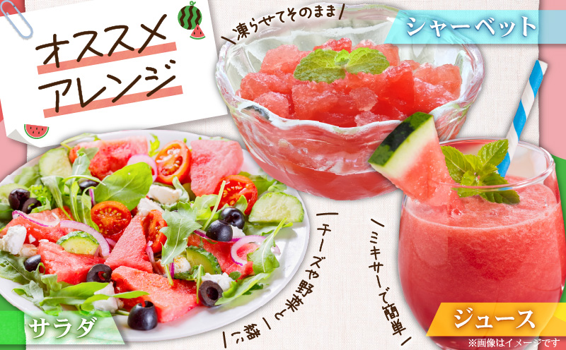 有機肥料で育てた大玉スイカ【赤い彗星】（2個入り）　M002-004