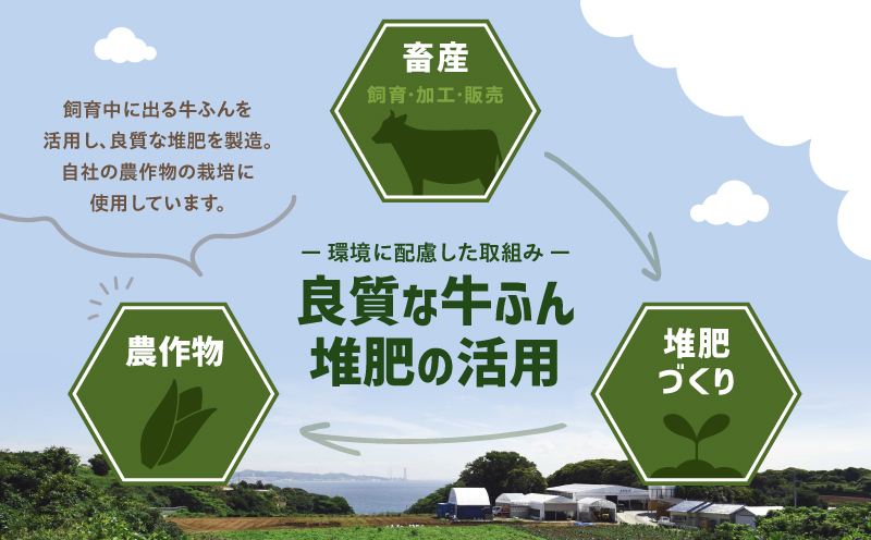 三浦牛切り落とし・三浦牛コロッケ詰め合わせセット　M082-001