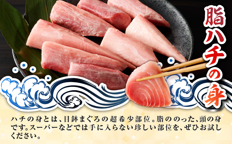 特選 目鉢鮪頭肉 超希少部位「脂ハチの身」　M081-001