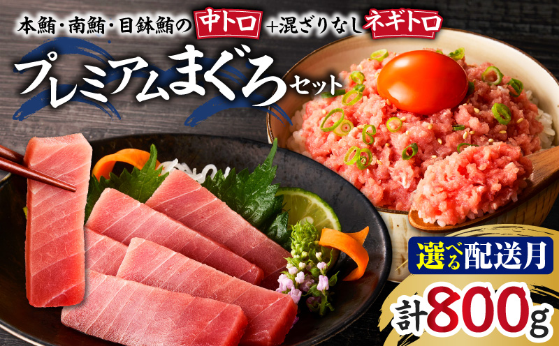 シ憺∈縺ケ繧矩埼∵怦シ槭∪縺舌m蟆る摩蠎 貉企ュ壼撫螻九励Ξ繝溘い繝縺セ縺舌m繧サ繝繝医M005-056
