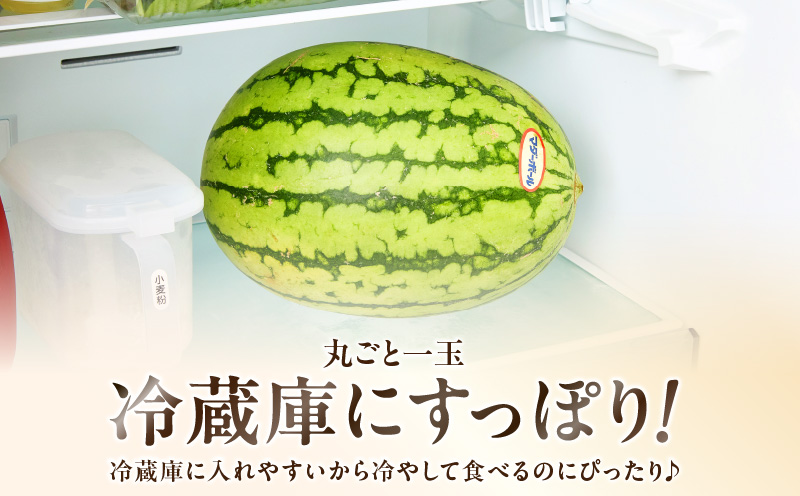 マダーボールスイカ　M001-002