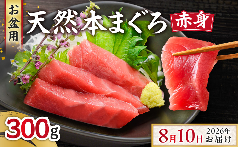 【お盆用】本まぐろ赤身2柵（2026年8月10日にお届け）2～3人前　M005-003