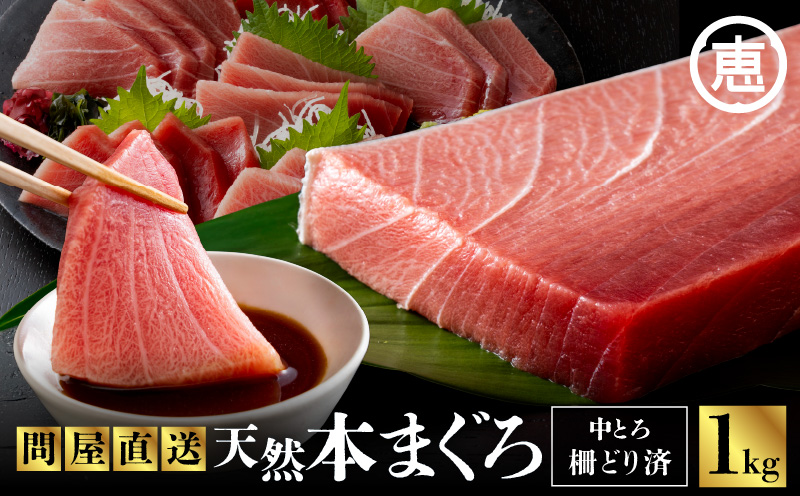 まぐろ専門の老舗問屋からお届け！とろける！上質 天然本まぐろ中トロ1kg分　M020-012