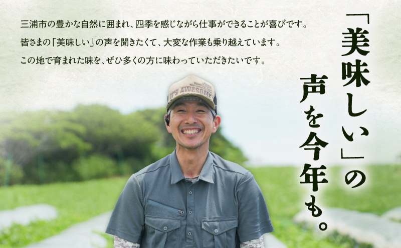 【三浦農家直送】中玉スイカ（2個入り）　M003-002