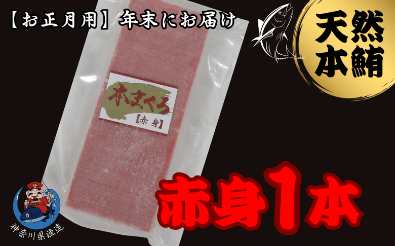 B10-007 【年内発送】神奈川県漁連　天然本マグロ　赤身サク【お正月用】