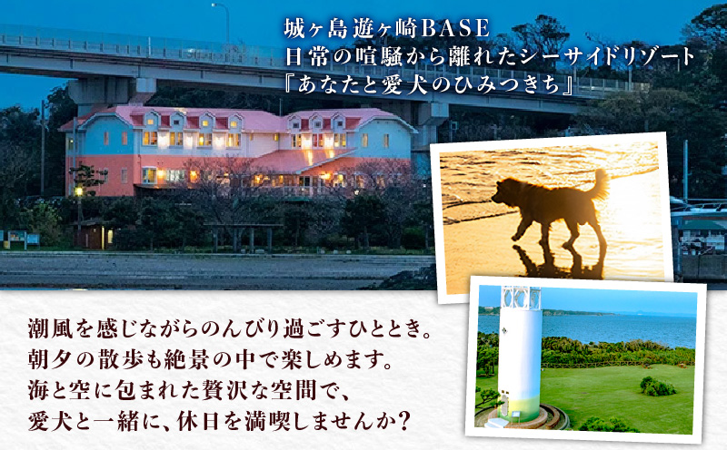 ペットと泊まるリゾートホテル Doki Doggie 城ヶ島遊ヶ崎BASE 大人1名1泊2食付き　M131-001-01