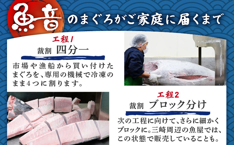 老舗魚屋直営店！まぐろ食堂七兵衛丸ペアお食事券＋まぐろのお土産セット　M006-003-02