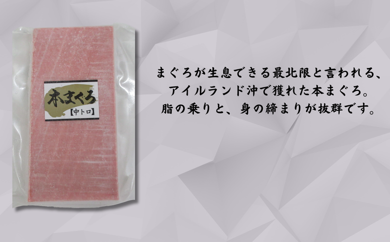 B12-014 【年内発送】神奈川県漁連　天然本マグロ　中トロサク【お正月用】