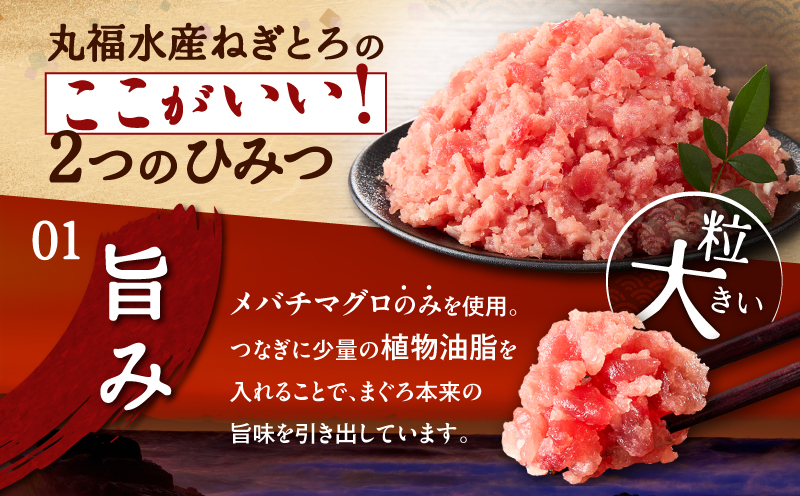 本格派ねぎとろ 100g×10パック（1kg）セット　M024-008-02