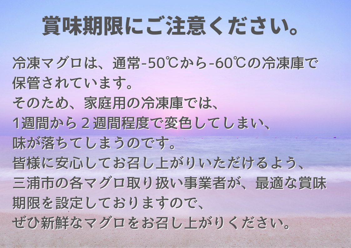 B21-005 ≪希少部位≫目鉢鮪の背トロお刺身セット