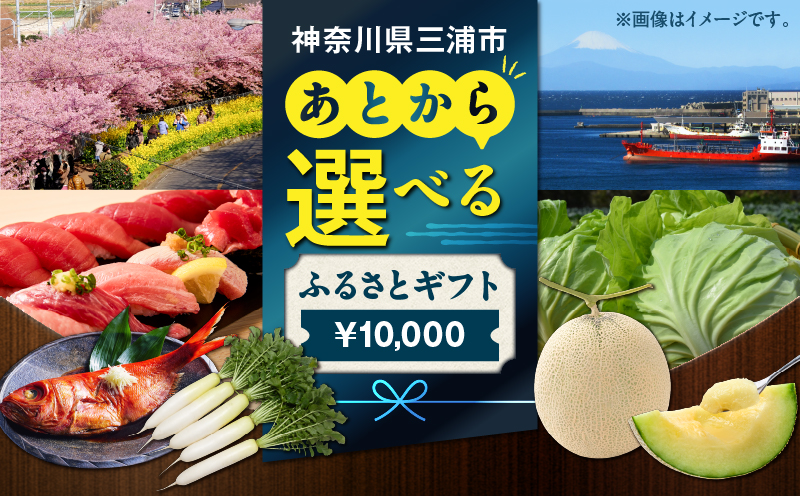 あとからセレクト【ふるさとギフト】1万円　M000-001