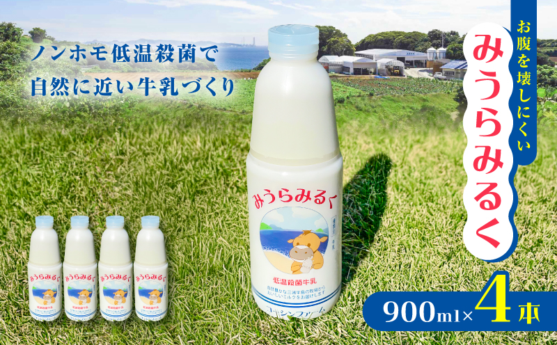 【低温殺菌牛乳】みうらみるく 900ml×4本　M091-001-01