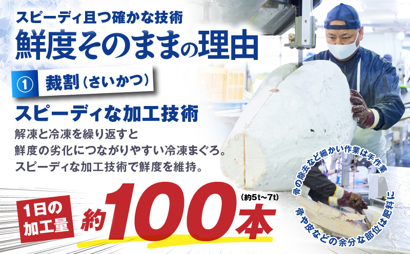 神奈川県漁連 天然本マグロ 中トロサク　M077-012-02