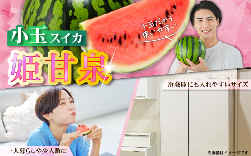 有機肥料で育てた小玉スイカ【姫甘泉】（4個入り）　M002-005