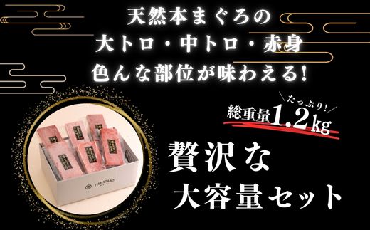 B71-002 【みんなの心彩る】天然本まぐろ 1.2kg(大トロ400ｇ、中トロ400ｇ, 赤身400ｇ)