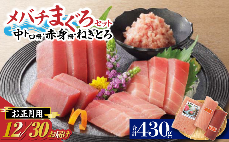 お正月用 メバチ鮪セット（神奈川県漁連）　M077-006-01