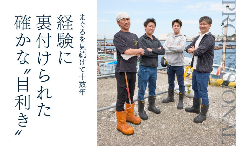 入金確認後、7営業日以内に発送予定 または 配送月が選べる】天然 三崎まぐろ 赤身 ベタミ M020-040