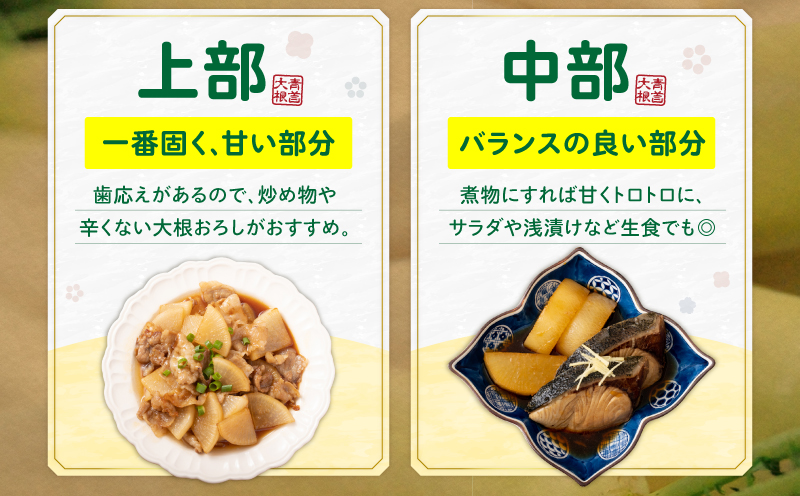 神奈川県三浦市産青首大根 8本　M109-011