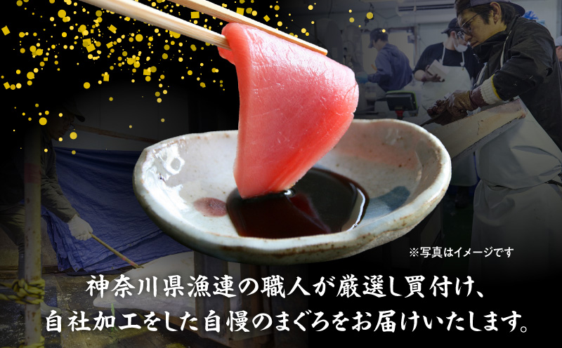 神奈川県漁連 天然本マグロ 赤身サク　M077-012-01