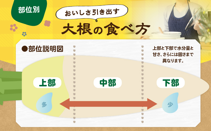 神奈川県三浦市産青首大根 8本　M109-011