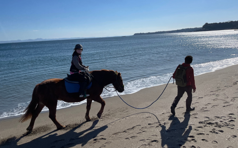 B84-001 馬と風光明媚な三浦の街と海岸で過ごす　馬に乗って三浦をお散歩～海岸外乗120分～