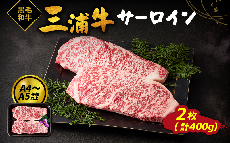 三浦牛サーロイン（400g）　M082-003