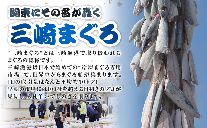 ＜三崎まぐろ ネギトロ 1kg＞便利な小分け 10食分　M070-011