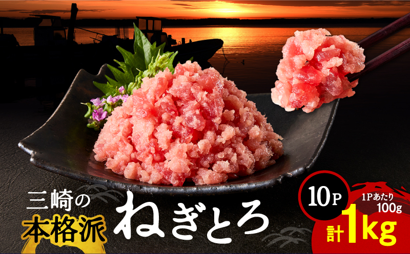 本格派ねぎとろ 100g×10パック（1kg）セット　M024-008-02
