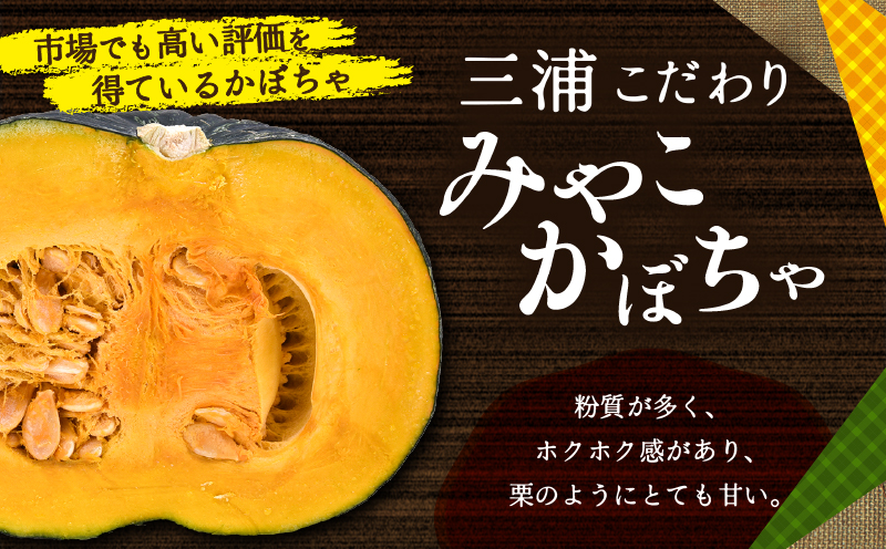 神奈川県三浦市産 三浦こだわりかぼちゃ（3個）　M109-005