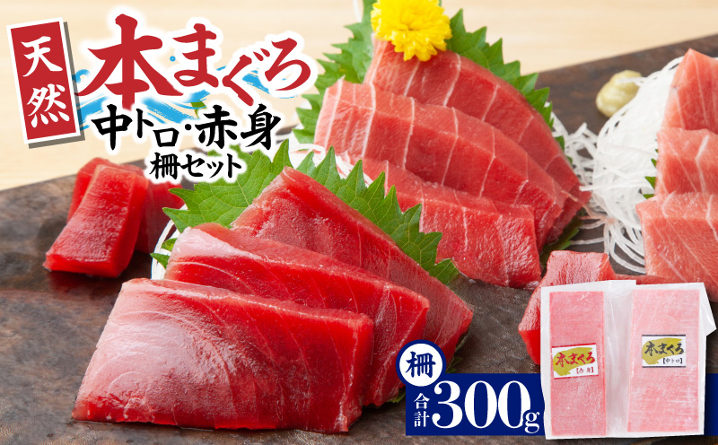 神奈川県漁連 天然本マグロ 中トロ・赤身セット　M077-012-03