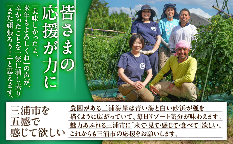 贈答用メロン　M001-001